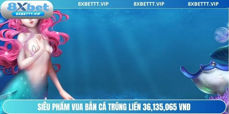 Bắn Cá Ăn Tiền Thật 8XBET - Săn Boss Khủng Rinh Thưởng To 5 Chinh phục biển cả cùng Vua bắn cá