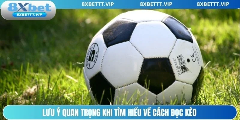 Cách Đọc Kèo 8XBET - Hướng Dẫn Cực Chuẩn Cho Người Mới 4 Cách đọc kèo và những chú ý cần cân nhắc