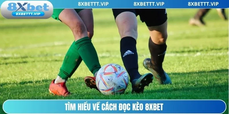 Cách Đọc Kèo 8XBET - Hướng Dẫn Cực Chuẩn Cho Người Mới 2 Khái niệm cách đọc kèo 8xbet